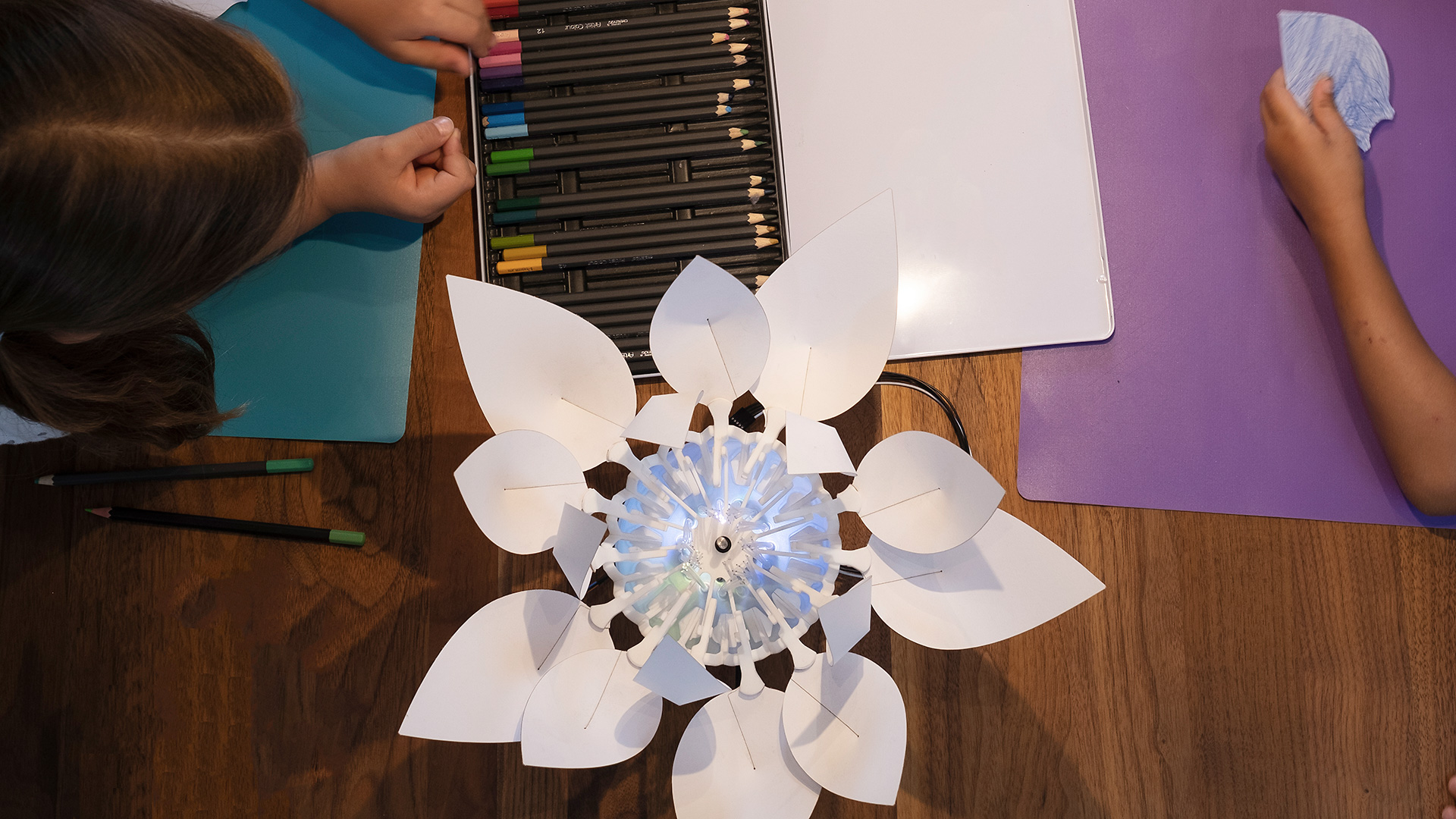 Das AI Blossom Projekt