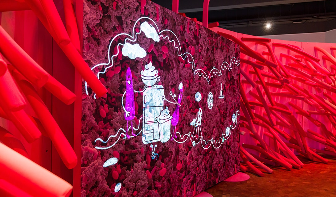 Sonderausstellung Darm mit Charme