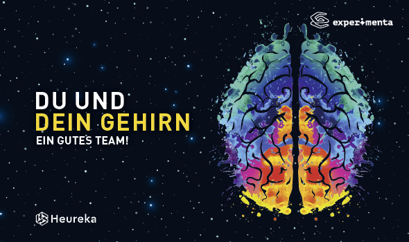2022-02-17-experimenta-du-und-dein-gehirn_tcw Teaser zur Sonderausstellung „Du und dein Gehirn“