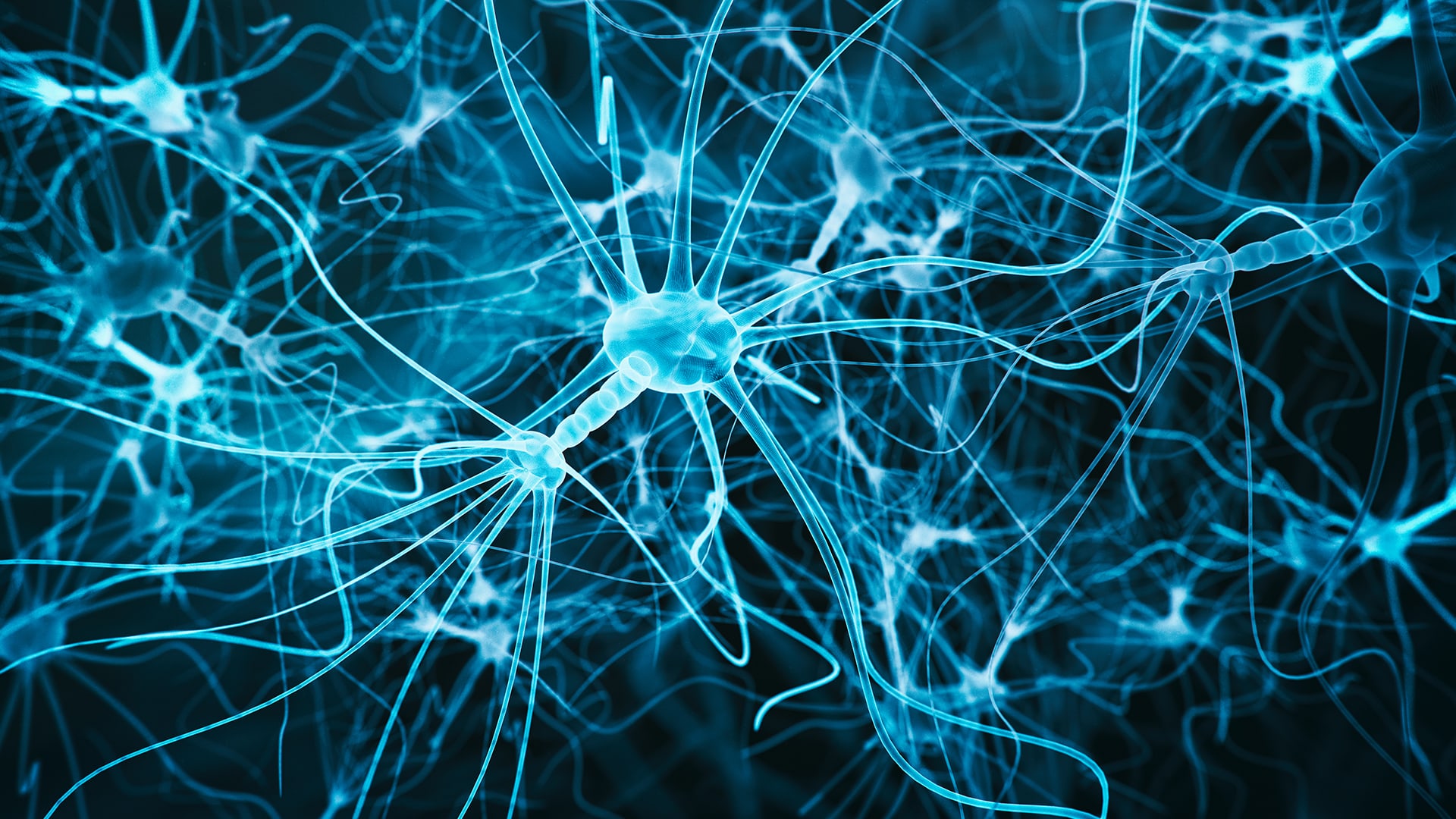 SciDay: Navis, Netze, Nervenzellen – über die Zusammenarbeit von Geoinformatik und Neurowissenschaft