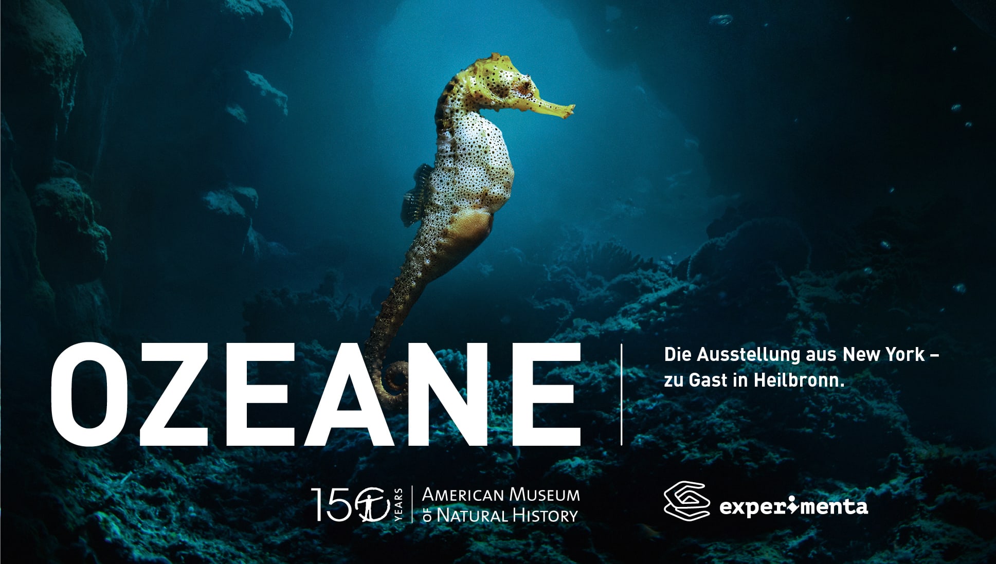 2021-06-experimenta-sonderausstellung-ozeane_1920x1080px Sonderausstellung Ozeane