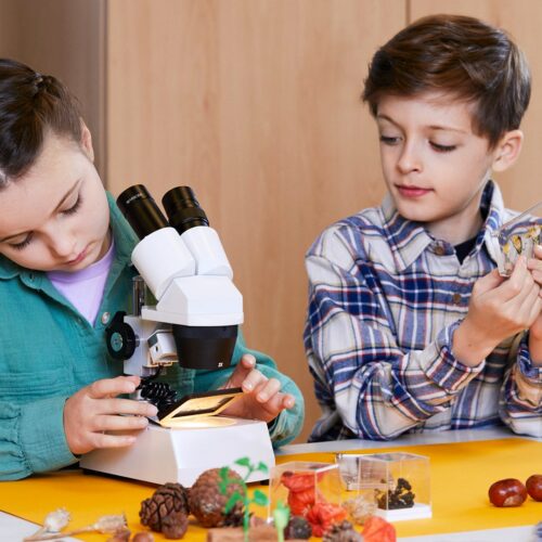 Kinder lernen den Umgang mit dem Mikroskop