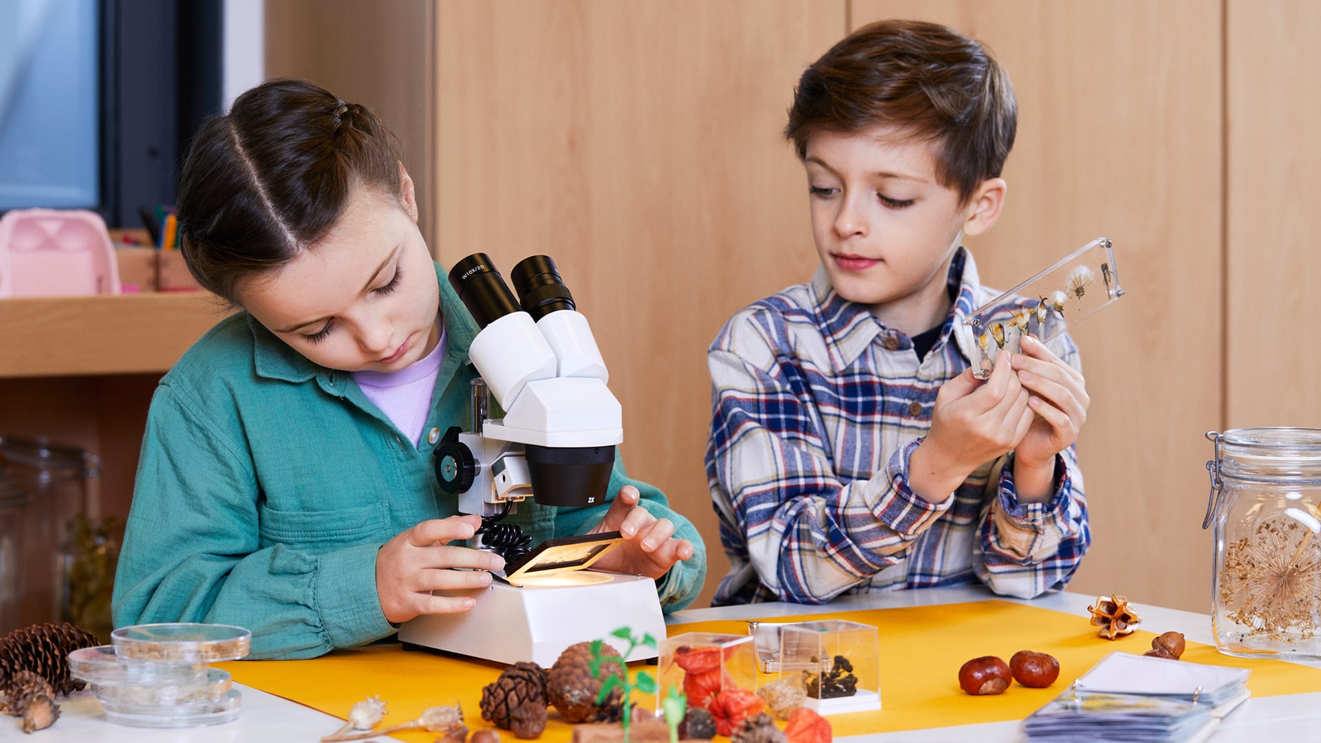 Kinder lernen den Umgang mit dem Mikroskop