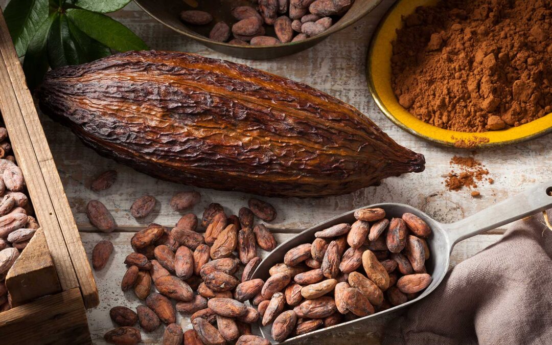 Der lange Weg von der Kakaobohne bis zur Schokolade