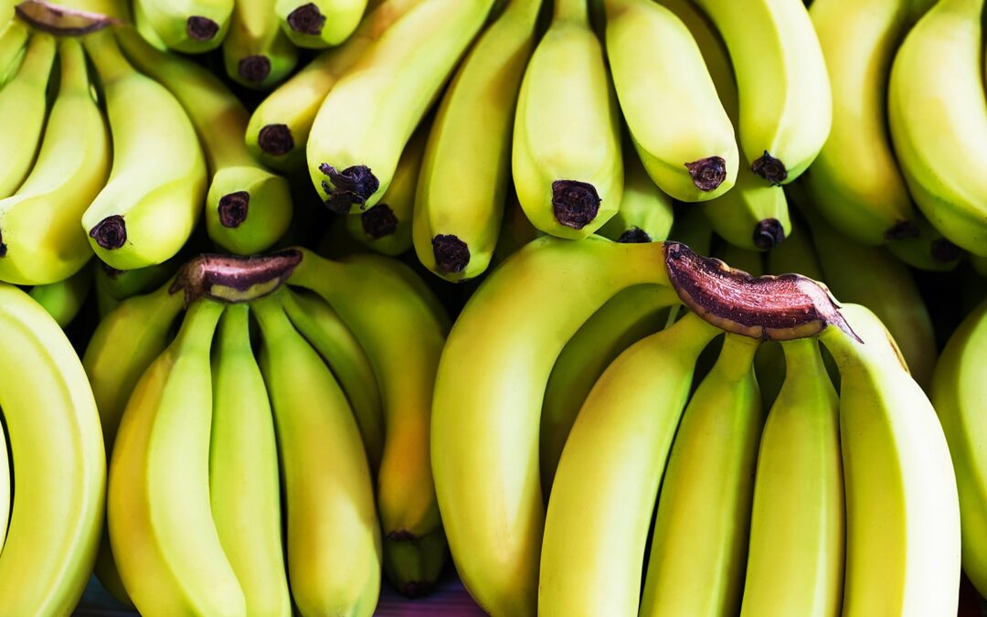 Banane – krumm, beliebt und doch problematisch