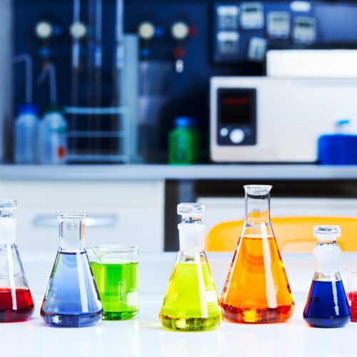 Kunterbunte Experimente für die ganze Familie