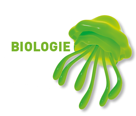 Fachgebiets-Icon Biologie