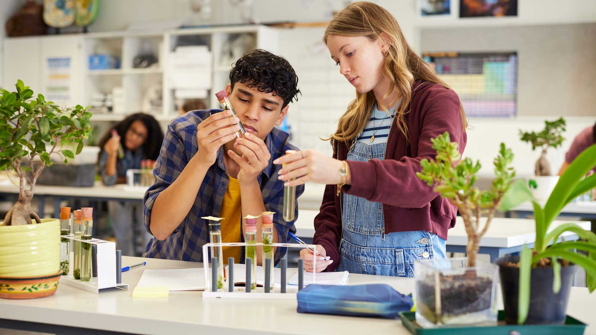 Jugendliche untersuchen in einem naturwissenschaftlichen Klassenraum Pflanzenproben in Reagenzgläsern und dokumentieren ihre Beobachtungen.