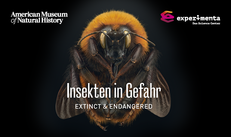 2025-05_Key-Visual_Exctinct-Endangered_Teaser_768x456px_DE Geschmacksfragen