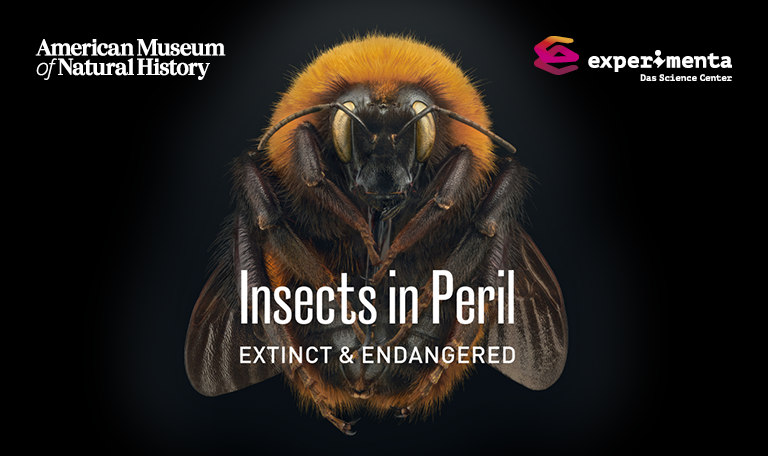 2025-05_Key-Visual_Exctinct-Endangered_Teaser_768x456px_EN Geschmacksfragen
