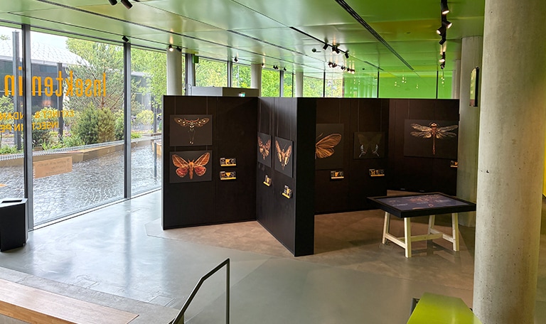 Fotoausstellung im Forum