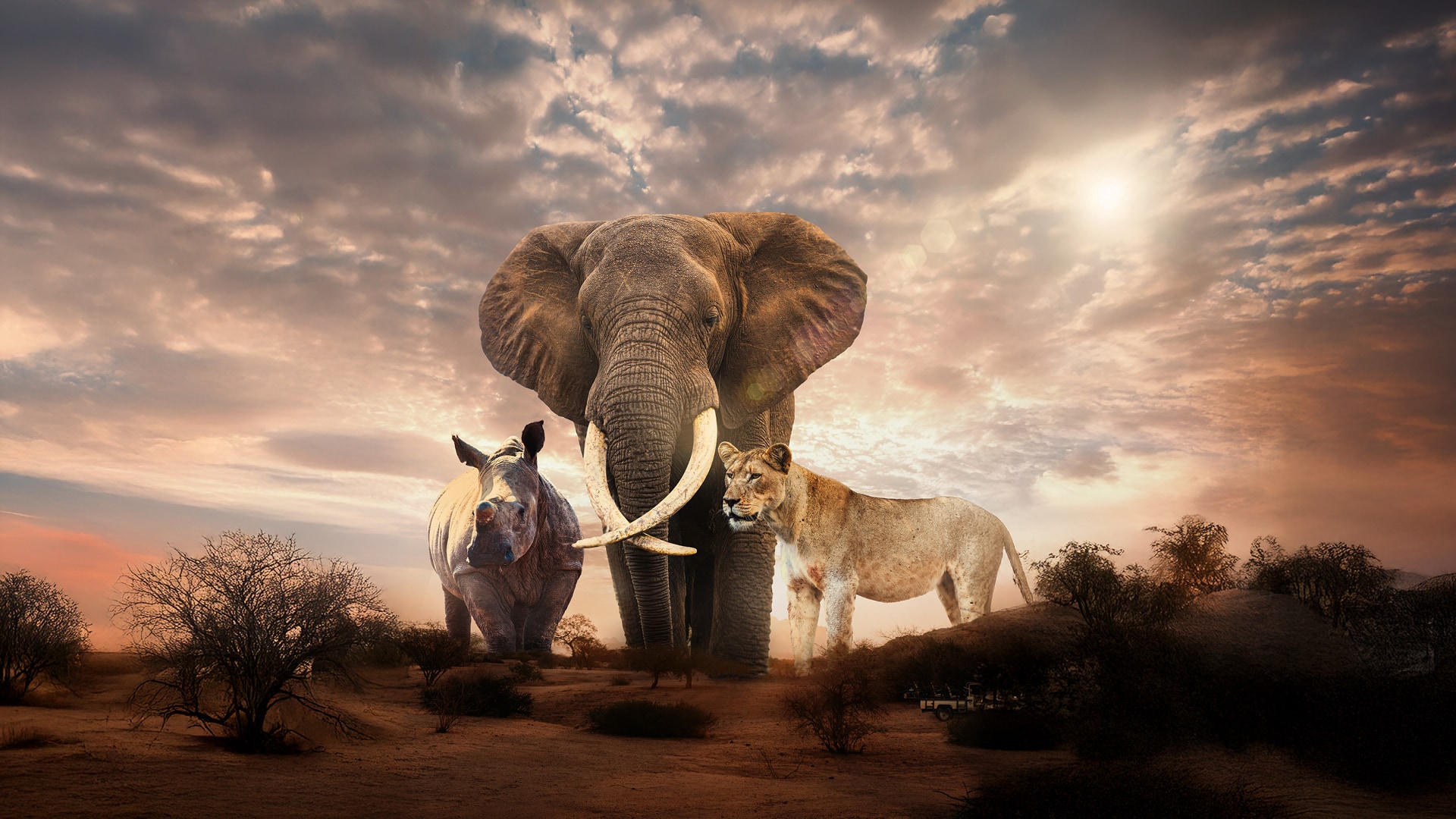 Bild von Elefant, Nashorn und Tiger in Afrika